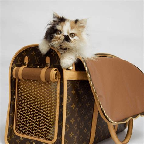 louis vuitton monogram canvas dog carrier 50 replica|check my louis vuitton bags.